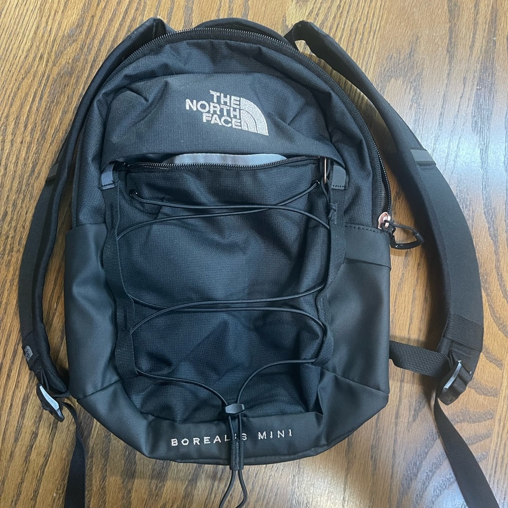 The north face borealis mini backpack